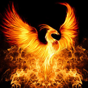 Urban Phoenix