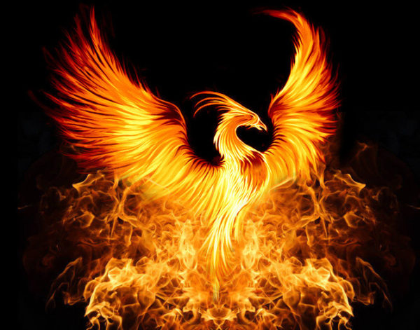 Urban Phoenix
