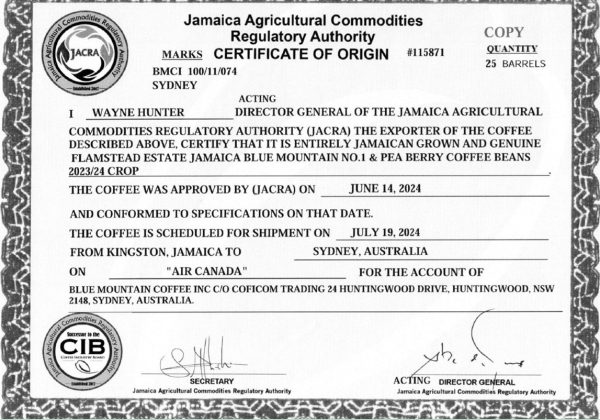 Jamaica Blue Mountain Flamstead Estate Gr1 peaberry 250g - Image 2