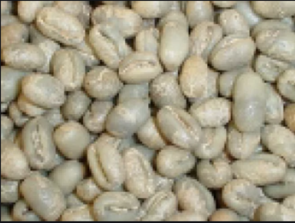 Bolivia Sol de la Mañana Peaberry washed microlot 500g - Image 3